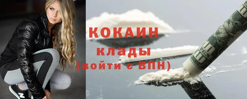 где купить   Апрелевка  Cocaine FishScale 